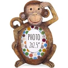 Mini Monkey Animal Resin Photo